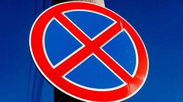 Зелёный партизан. Партизанское движение на кубани в годы великой отечественной войны. Партизанское движение на кубани в годы великой отечественной войны. Движение на кубани. Партизаны краснодарского края.