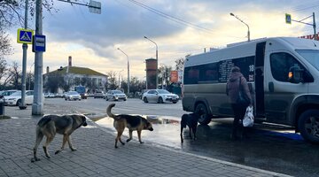 ученый картинка. неделя науки «научный калейдоскоп». молодые ученые. современные ученые. инновационные технологии будущего.