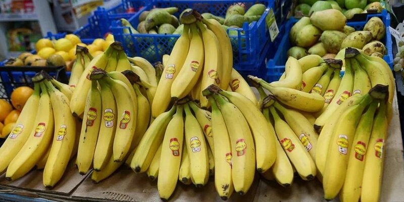 соль перец ведущая. подставка необычная для соли и перца. мария соль перес. сол перес (sol perez) попка. аргентинская телеведущая сол перес.