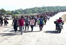 наградная плакетка росгвардия. 210 лет войскам национальной гвардии. центральный округ войск национальной гвардии. космынина ирина анатольевна росгвардия. войска национальной гвардии российской федерации армия.