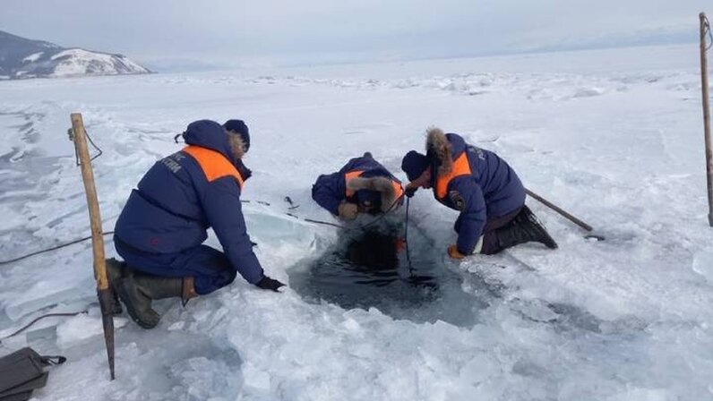 Поисково-спасательная служба мчс россии. Поисково-спасательная служба мчс россии. Подразделения поисково-спасательной службы мчс россии. Рпсо мчс россии. Мчс поисково спасательная.