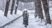 Синоптик Шувалов сообщил, что русская зима будет &laquo;съеживаться&raquo;|