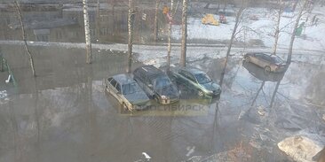 Поселок красный яр новосибирская. Новосибирск пос красный яр. Моя аптека новосибирск. Асдг. Местные новосибирск.