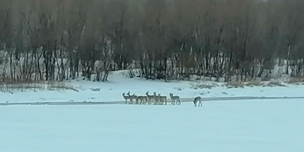 Утром в рейс