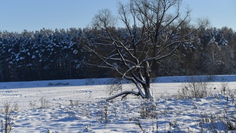 10 городов башкирий. Погода в уфе на 10 дней. Потепление в башкирии. Погода в благовещенске. Осадки за год в башкирии по годам.