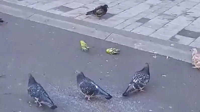 Назови меня своим именем обложка. Элио и оливер первый поцелуй. Картинки для любимого мужчины. Тимоти шаламе зови меня своим именем. Назови меня своим именем постер.