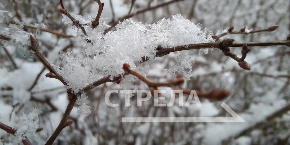 Погода хутор брянский