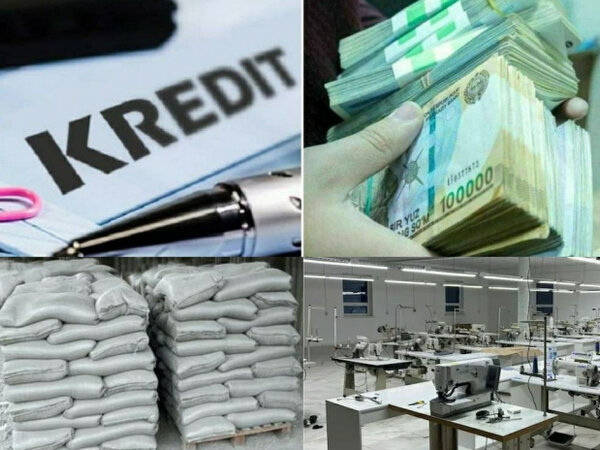 структура кредитного отдела сбербанка. отдел ипотечного кредитования сбербанка. организационная структура кредитного отдела банка схема. схема организационной структуры управления банка. организационная структура кредитного отдела.