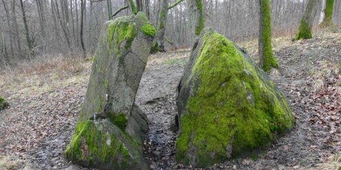 камень бросают в глубокое ущелье 13 10