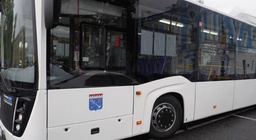 Маршрут автобусов выкса 8. Маршрут автобусов выкса 8