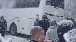 Деревня петрушино видное. Автобус петрушино расторгуево. Автобус петрушино расторгуево. Автобус петрушино расторгуево. Петрушино 5.