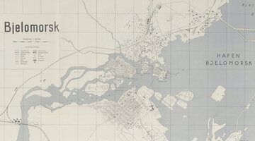 она такая милая где ты её нашёл. алиса в стране чудес чеширский кот цитаты. работа ты где. здесь жизни нет. где я ее найду.