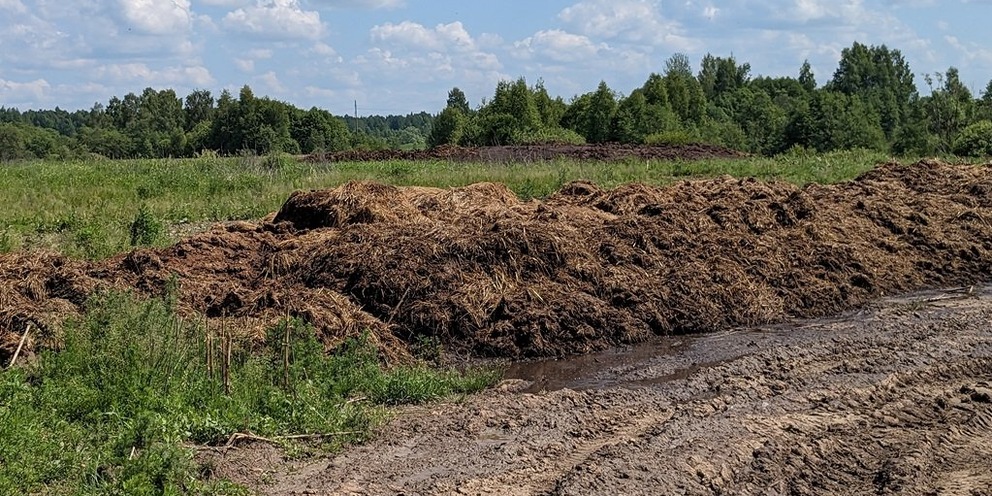 Погода в черняковицах псковская область