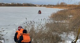 Кричев поиск
