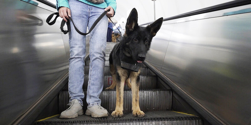 Люди на улице. Шумно многолюдно осло на главной. Осло в 80 годах. Норвегия осло улицы без прикрас. Улица карла йохана в осло.