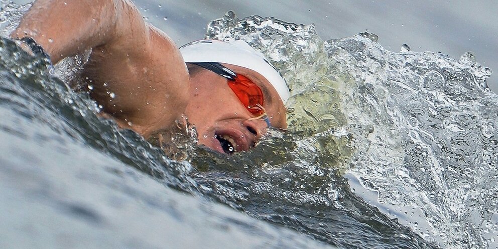 Федерация водных видов спорта