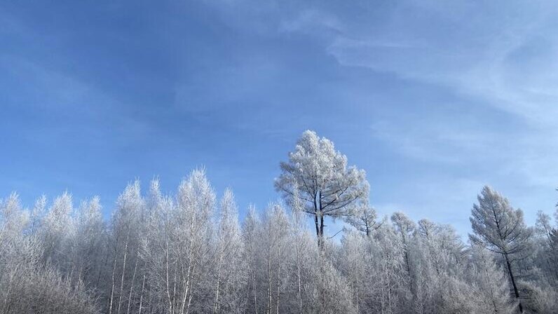Погода забайкальский кубухай. Погода забайкальский кубухай. Погода забайкальский кубухай. Погода забайкальский кубухай. Погода забайкальский кубухай.