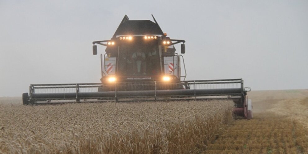 Сельскохозяйственный экспорт