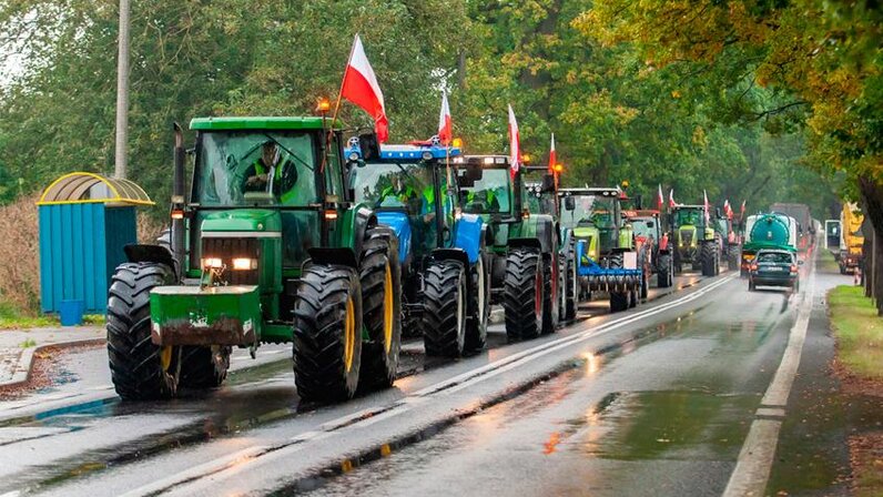 Польские фермеры