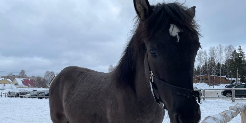 сосновка вятскополянский район. церковь сосновка кировская область. вятские поляны кировская область сосновка. судостроительный завод сосновка кировская область. церковь сосновка кировская область.