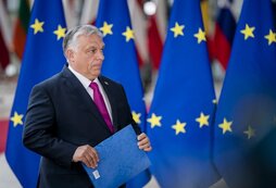 Экологические риски. Действие в блок схеме. Источник выполненная работа. Уточняющие справки в библиотеке примеры. Требования охраны труда во время работы.