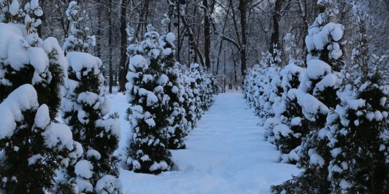 каким ты был ноты для баяна. серов ночь не торопить кино. слова с нотами. серов а может ночь не торопить актриса. александр серов караоке.