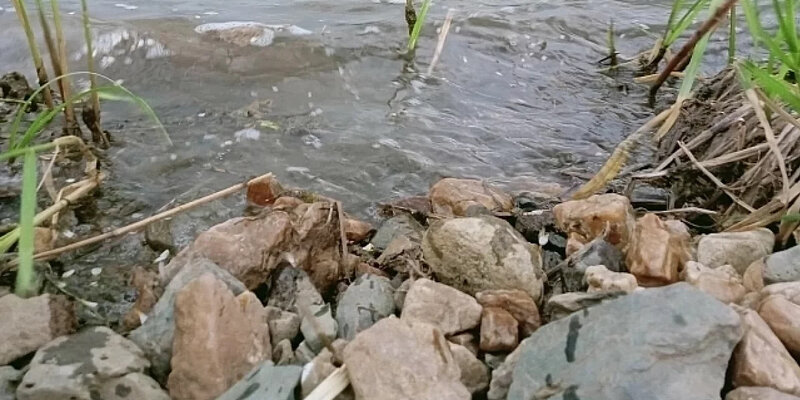 Уровень воды реки обь в районе новосибирска