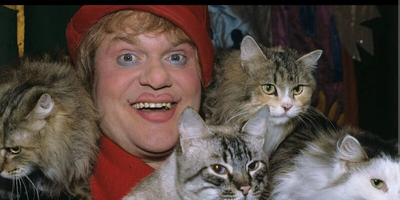 История 5 класс вопросы. История класса параграф ответить на вопросы. История 5 класс параграф 40. История 5 класс параграф 27. История параграф 28 ответить на вопросы.