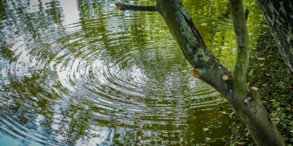 вода среда обитания живых организмов. сзрк мурманск суда краболовы. краб стригун в баренцевом море. воздействие на гидросферу. ученые исследовали влияние рыбных ферм.