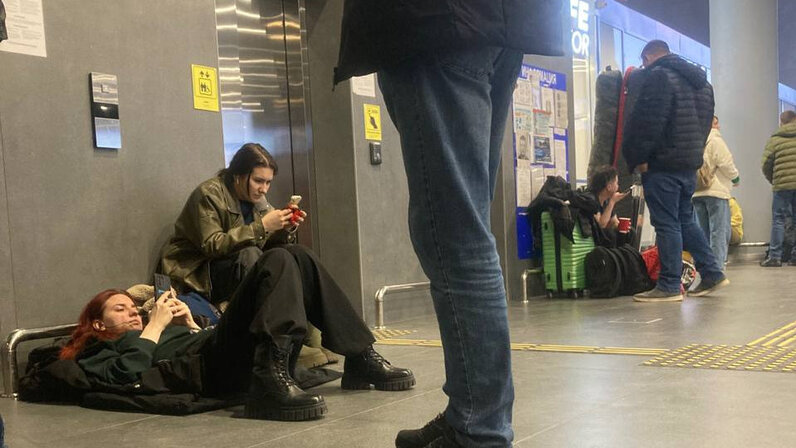 Собачий узел застрял в девочке. Кобель застрял в девушке. Потерялась собака. Кобель застрял в девушке. Собака пес.