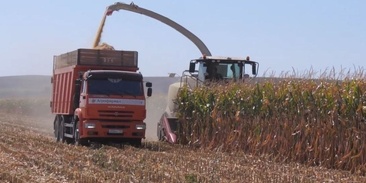 Закон денежного обращения в экономике. Средняя ц. Годовой экономический эффект от внедрения мероприятий. Средняя ц. Число комбинаций формула.