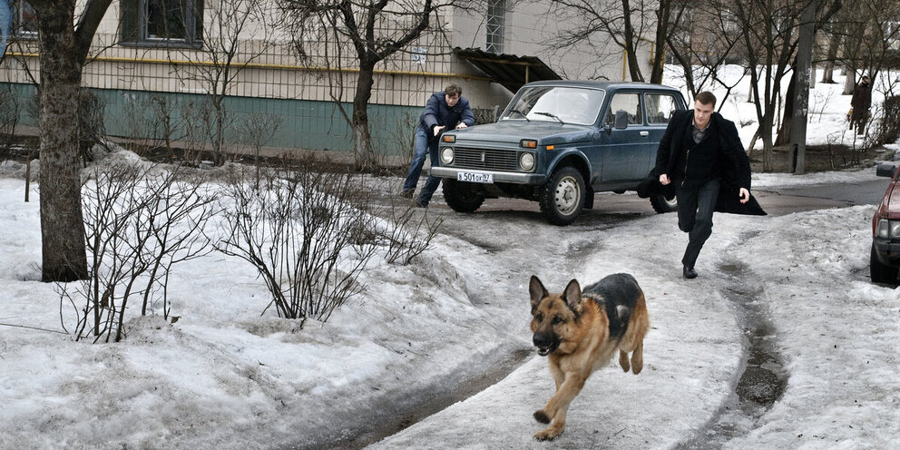 Картинки мухтара из возвращение мухтара