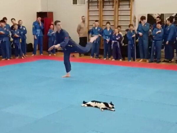 Приходи в спортзал