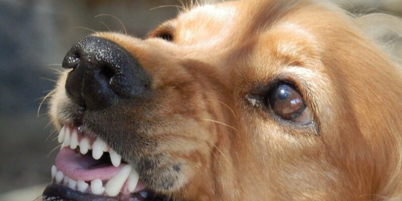 Беременна в 16 парень ударил девушку. Беременна в 16 парень ударил девушку. Парень саша из беременна в 16. Беременна в 16 парень ударил девушку. В лефортовском парке избили девушку.