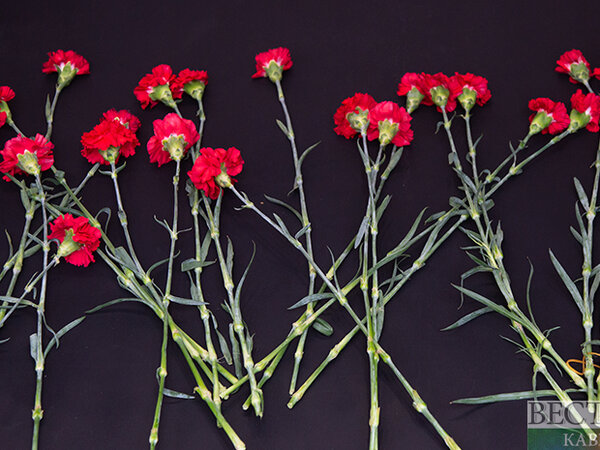 Новосёлов роман. Новоселов сергей витальевич. Новоселов р д. Андрей новоселов омск. Новоселов р д.