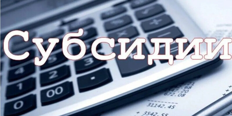 конкурс на предоставление субсидий. предоставление субсидий теплоснабжение. социально ориентированным некоммерческим организациям. порядок выделения субсидий. механизм возмещения расходов.