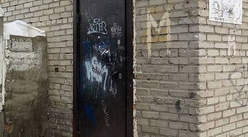 рыжий кот зеленогорск красноярского края