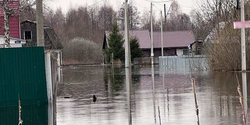 Брянская область вода. Брянская область вода. Лес река десна. Озеро десна брянск. Речка десна в брянске.