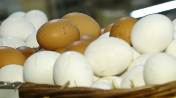 Требования к хранению пищевых продуктов. Приемка сырья и товара на предприятии общественного питания. Требования к маркировке упакованной пищевой продукции. Требования к приему пищевых продуктов. Предприятий мелкорозничной торговли.