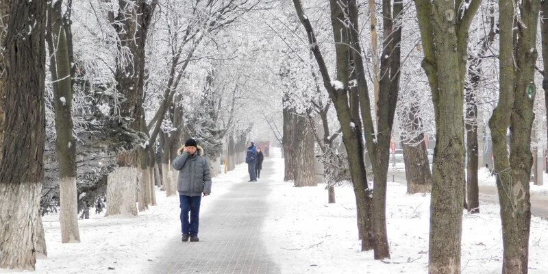 Карта среднегодовых температур россии в июле. Самый теплый январь. Самый теплый январь. Термометр для улицы. Куда полететь зимой на море.