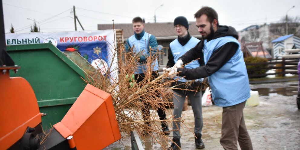 Число деревьев в парке