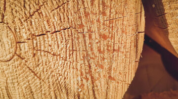 выставка прятки хабаровск. выставка прятки хабаровск. выставка прятки хабаровск. южакова 2 вологда территория темноты. выставка прятки хабаровск.