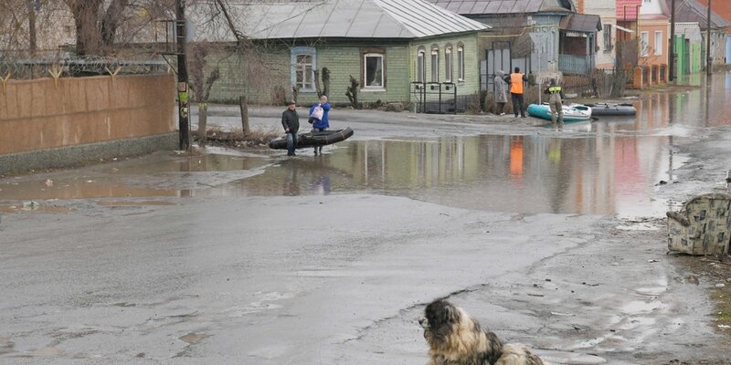 Уровень сакмары в оренбурге сейчас