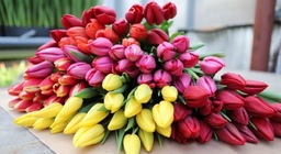 Красивые открытки с цветами для женщины