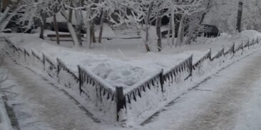 ветеринарная клиника мурманск книповича. сббж мурманск книповича. сббж мурманск книповича. сббж мурманск книповича. сббж мурманск книповича.