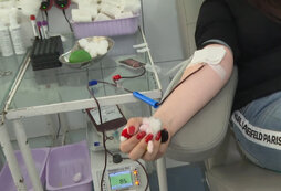 Где можно сдать кровь на донорство спб