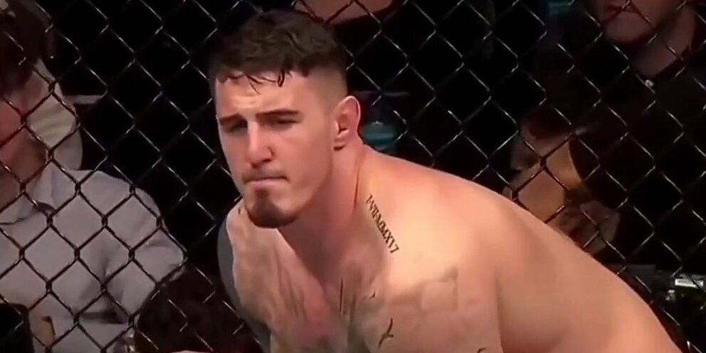 Чемпионы единоборств. Чемпионские пояса мма промоушенов. Битва чемпионов 2010. Jenny savage mma. Чемпионы единоборств.