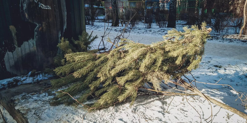 Автомобиль для перевозки трупов животных. Утилизация отходов станции технического обслуживания. Яма для утилизации животных. Похоронная служба животных. Услуги для домашних животных.