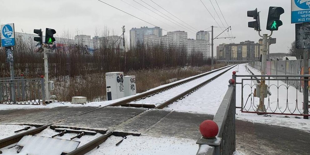 аэрофлот прокомментировал смерть кошек. дмитрий задорожный кот. расследование гибели кота твикса. александр петров убитый. нашелся кот на первомайке в новосибирске.