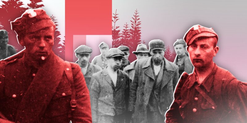 Украинцы снова хозяйничают в лесах на польской стороне Карпат